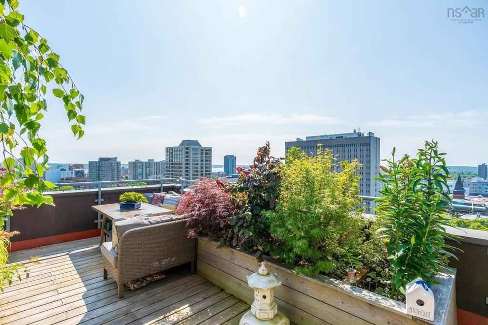 5959 Spring Garden Road - 1